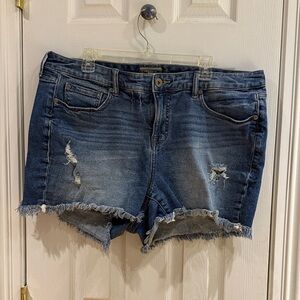 Torrid Blue Distressed Jean Shorts